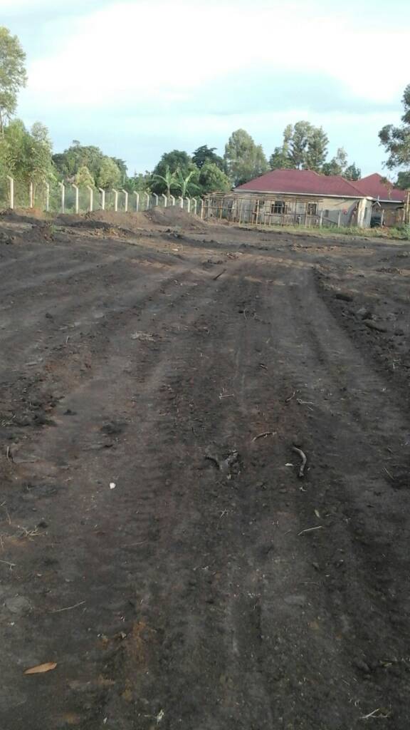 clinic Levelling Work.jpeg