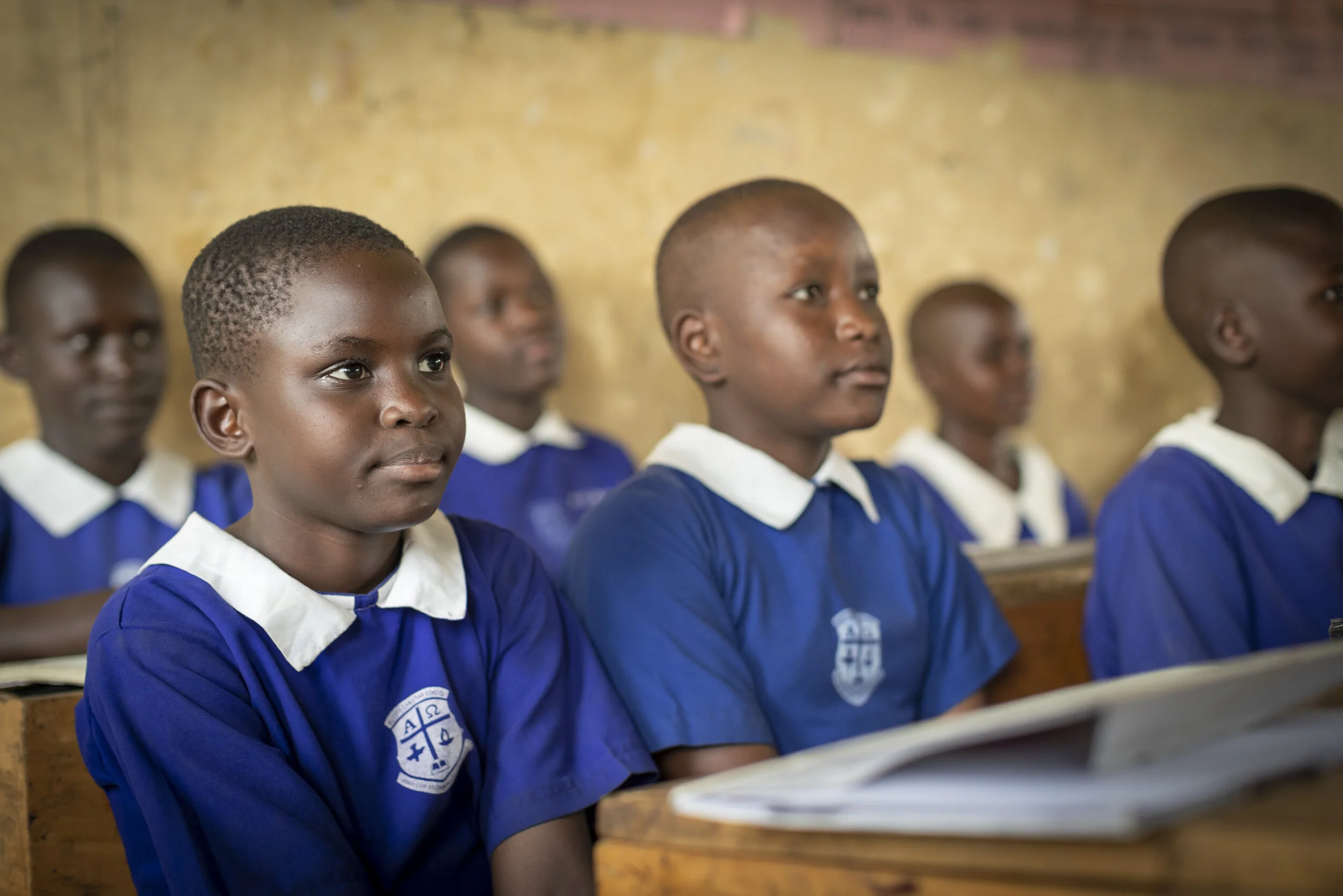 replacement photo as previous message..jpg