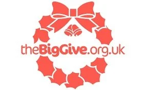 Big Give Challenge