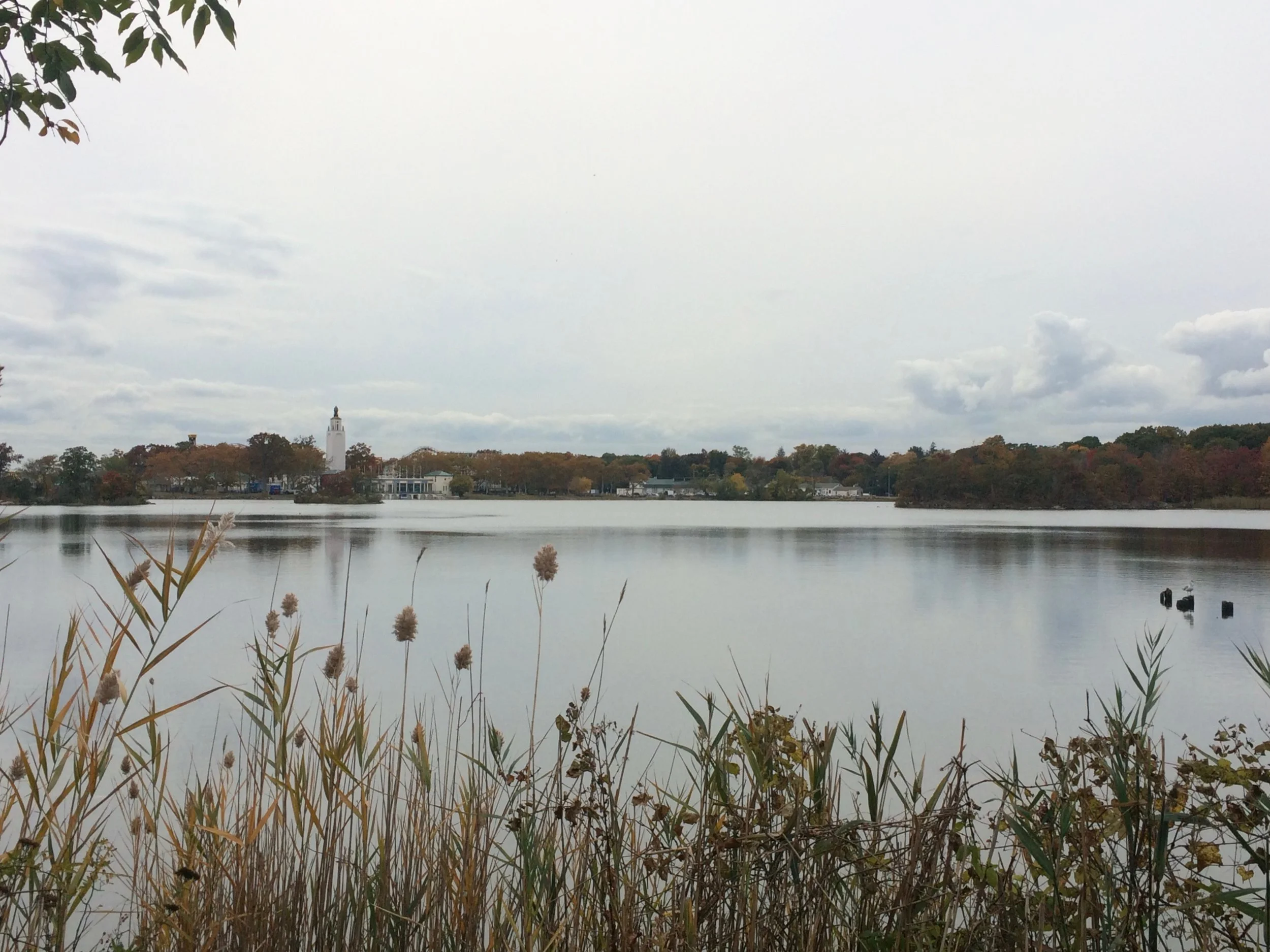 How Does New York's Clean Energy Future Look? How Can You Help?