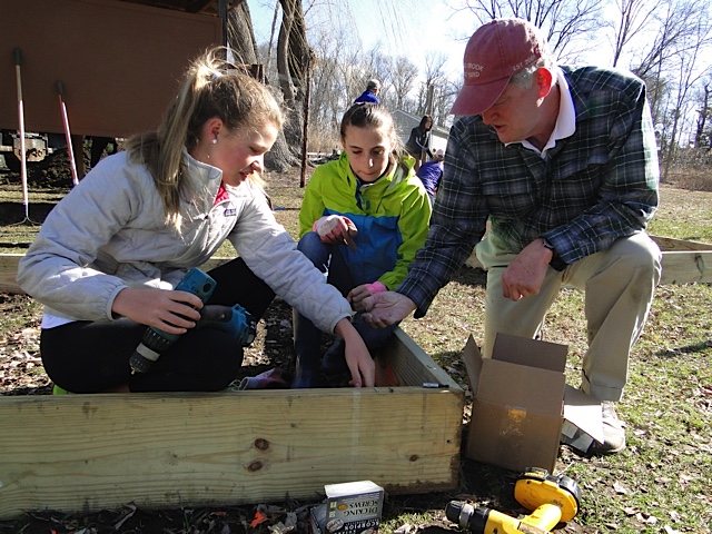 Constructing the plant beds