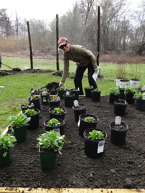 Time to plant!