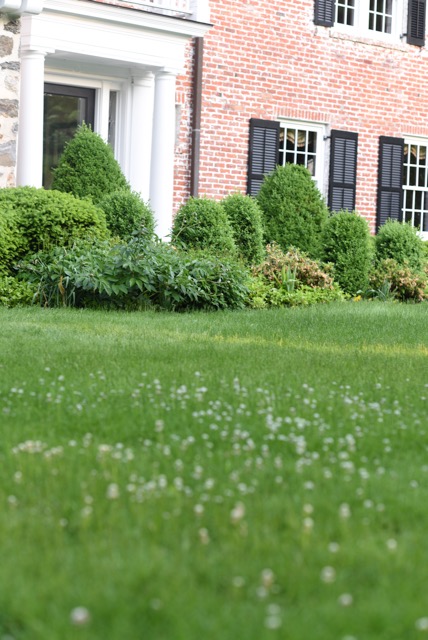The Bartletts' Yard