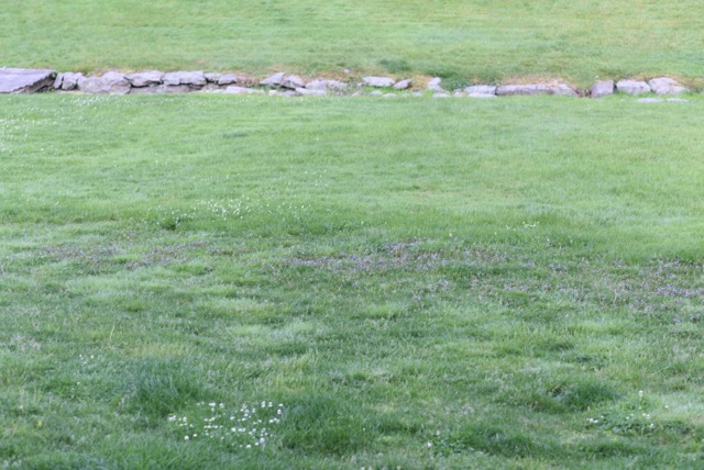 The Bartletts' Yard