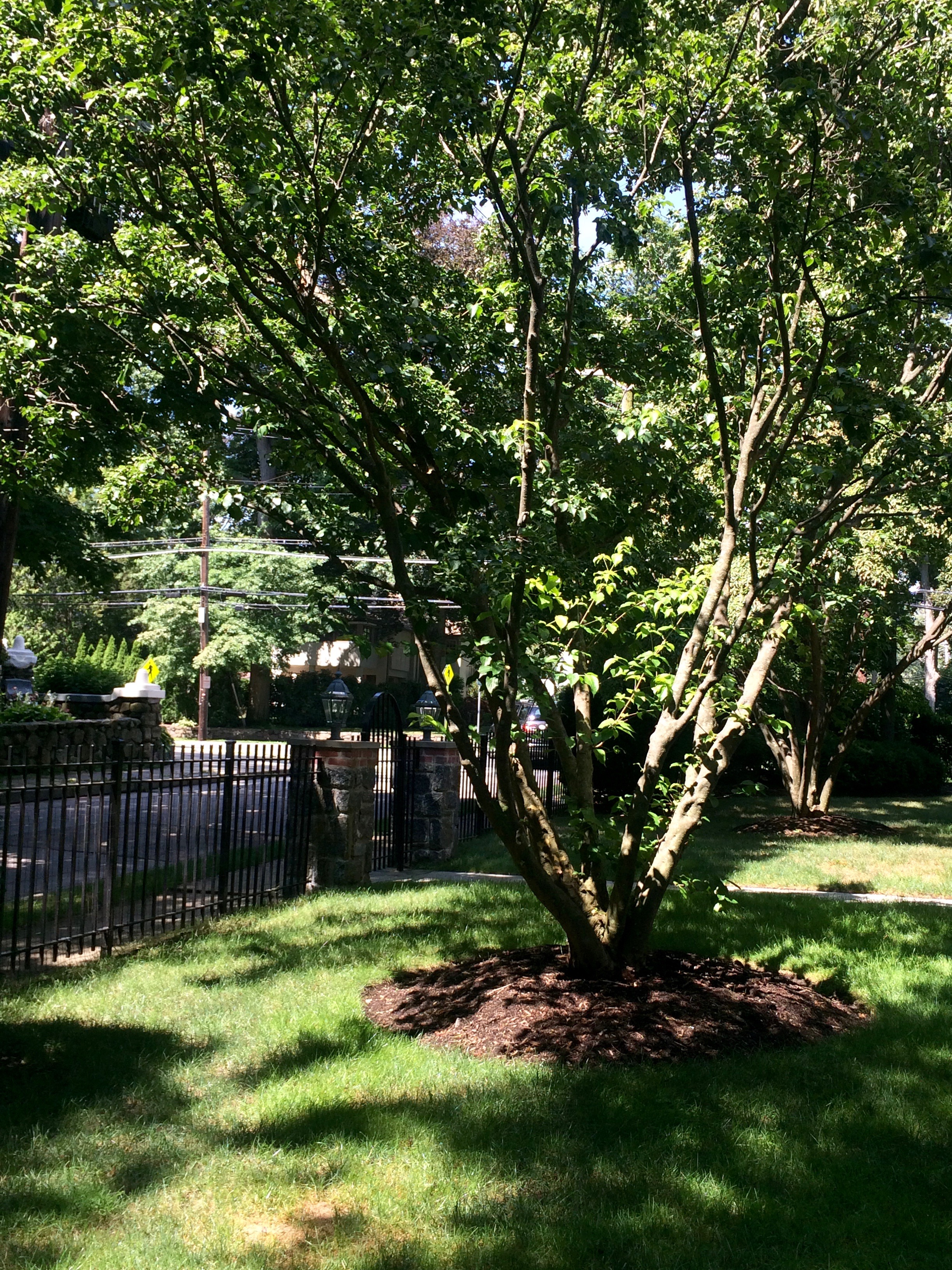 The Walkers' Yard