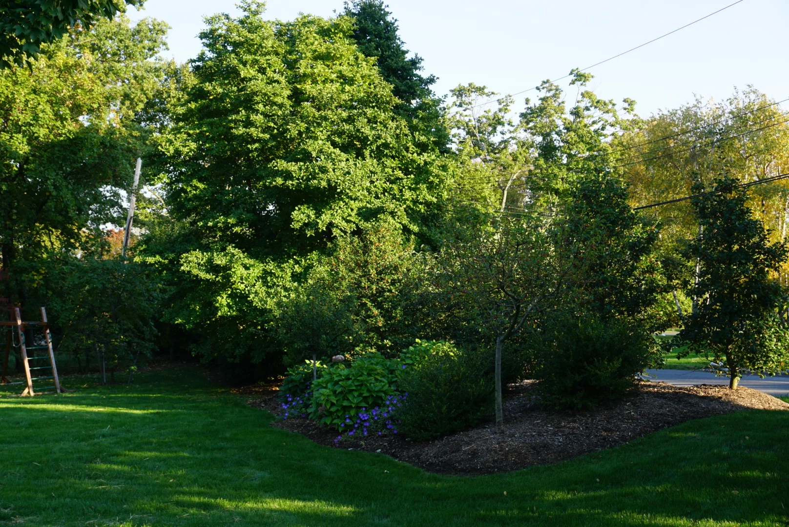 The Albarracins' Yard