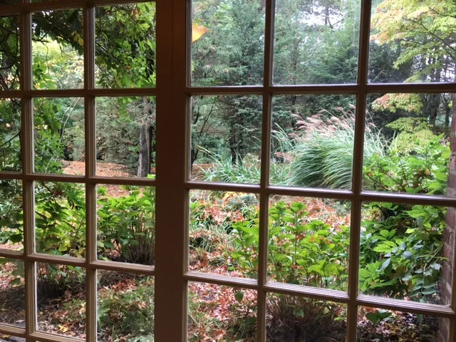 The Guarnieris' Yard