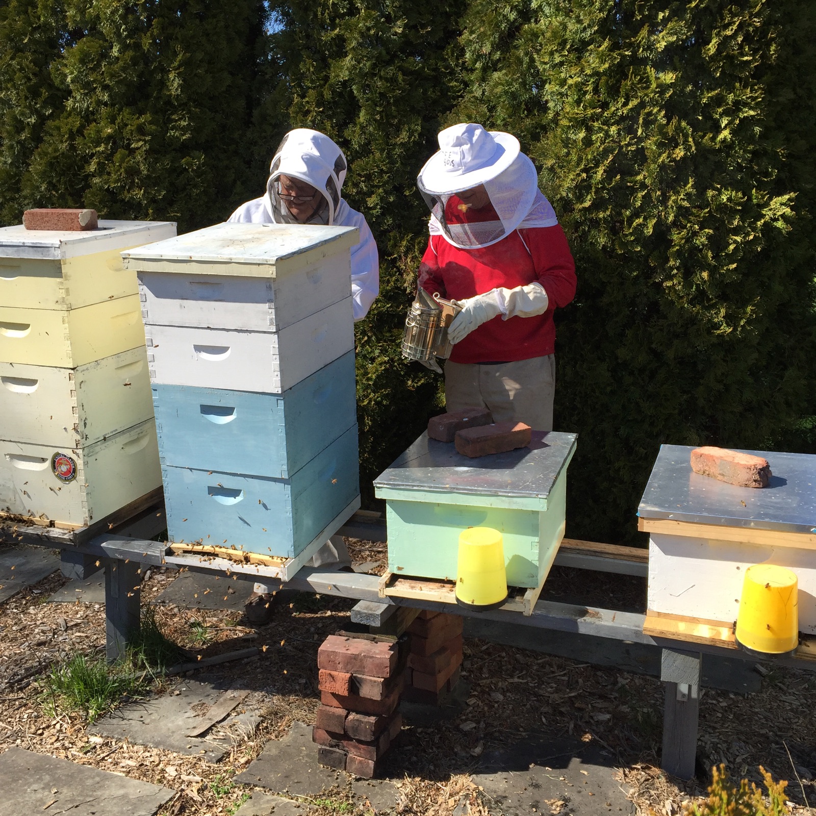 Beekeeping in the Peters' Yard