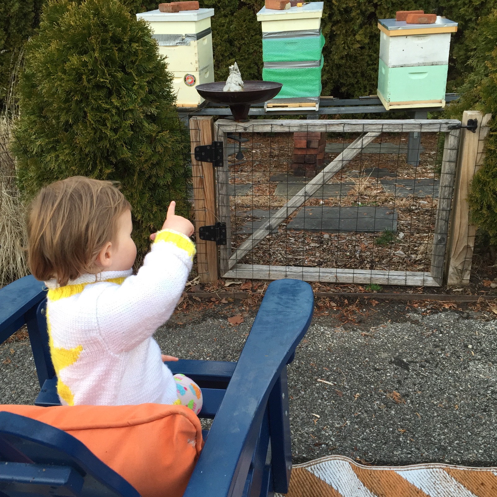 Enjoying the Bee Hives in the Peters' Yard