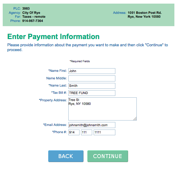 Click to see sample online payment
