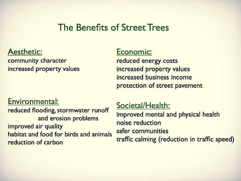 Graphic Courtesy of New Haven Garden Club