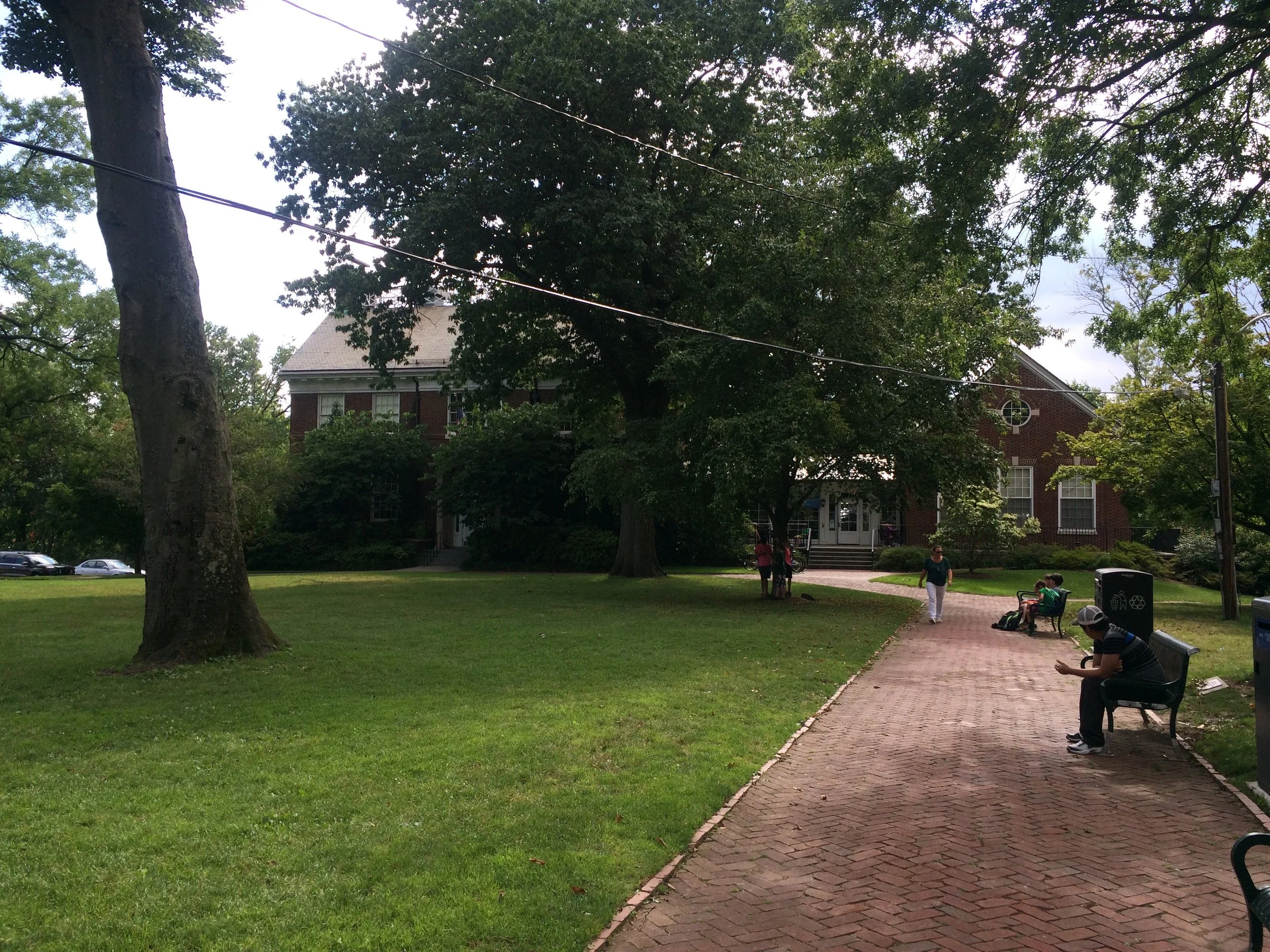 Does Organic Lawn Care Cost More Than Conventional? 