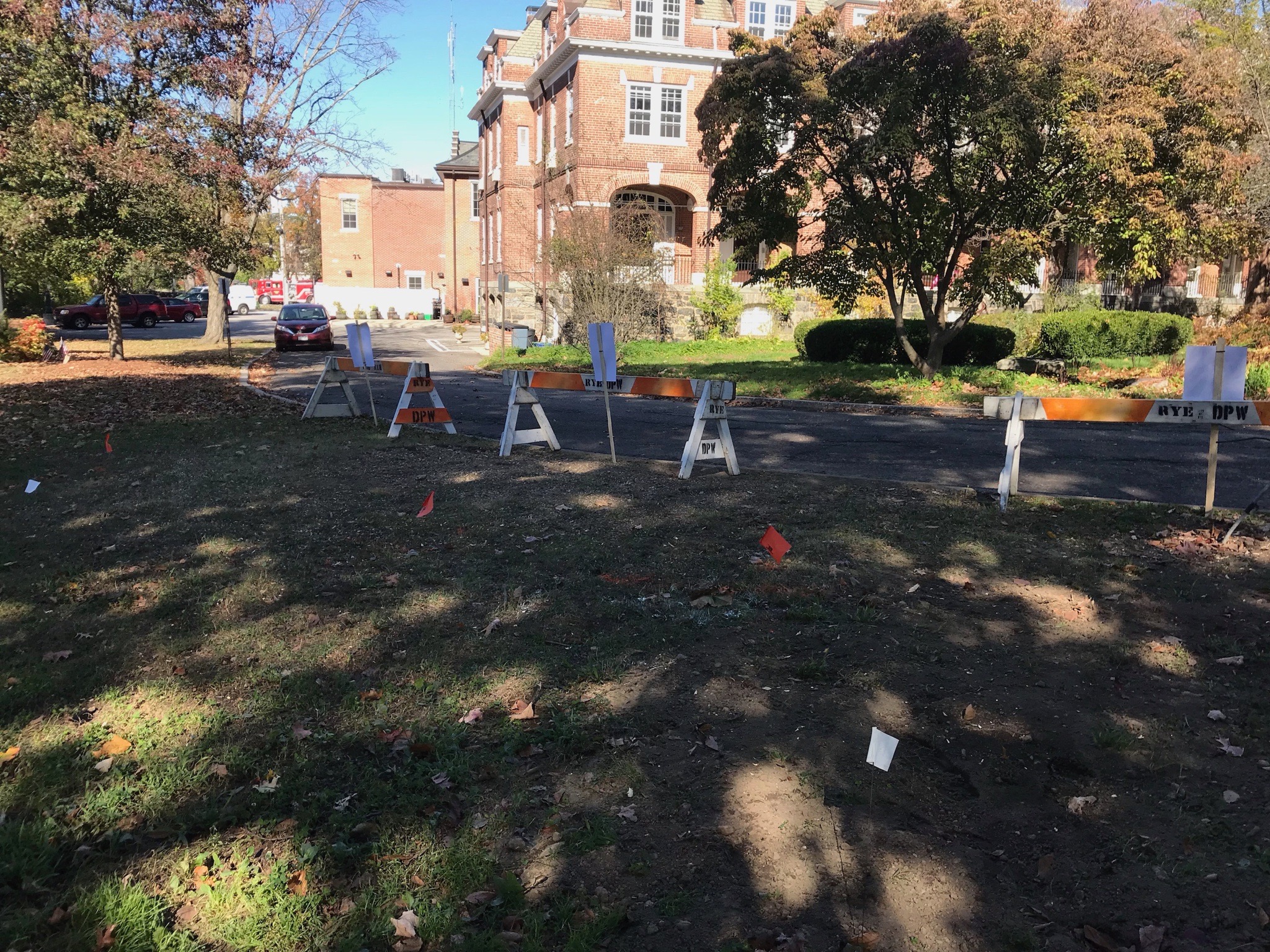 Village Green: White flags mark where Sugar Maple will be planted