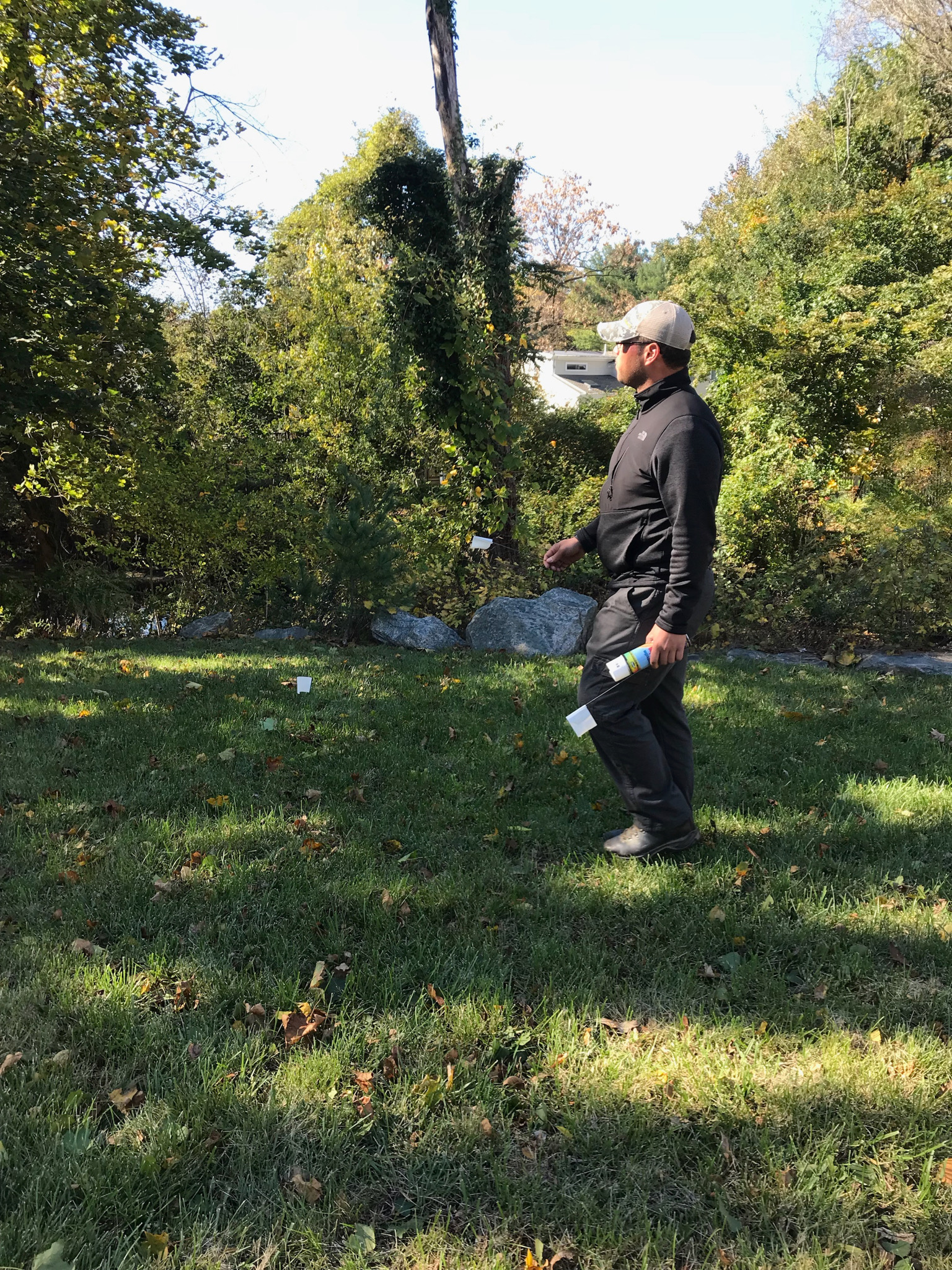 Central Park: Scouting locations for the River Birch trees