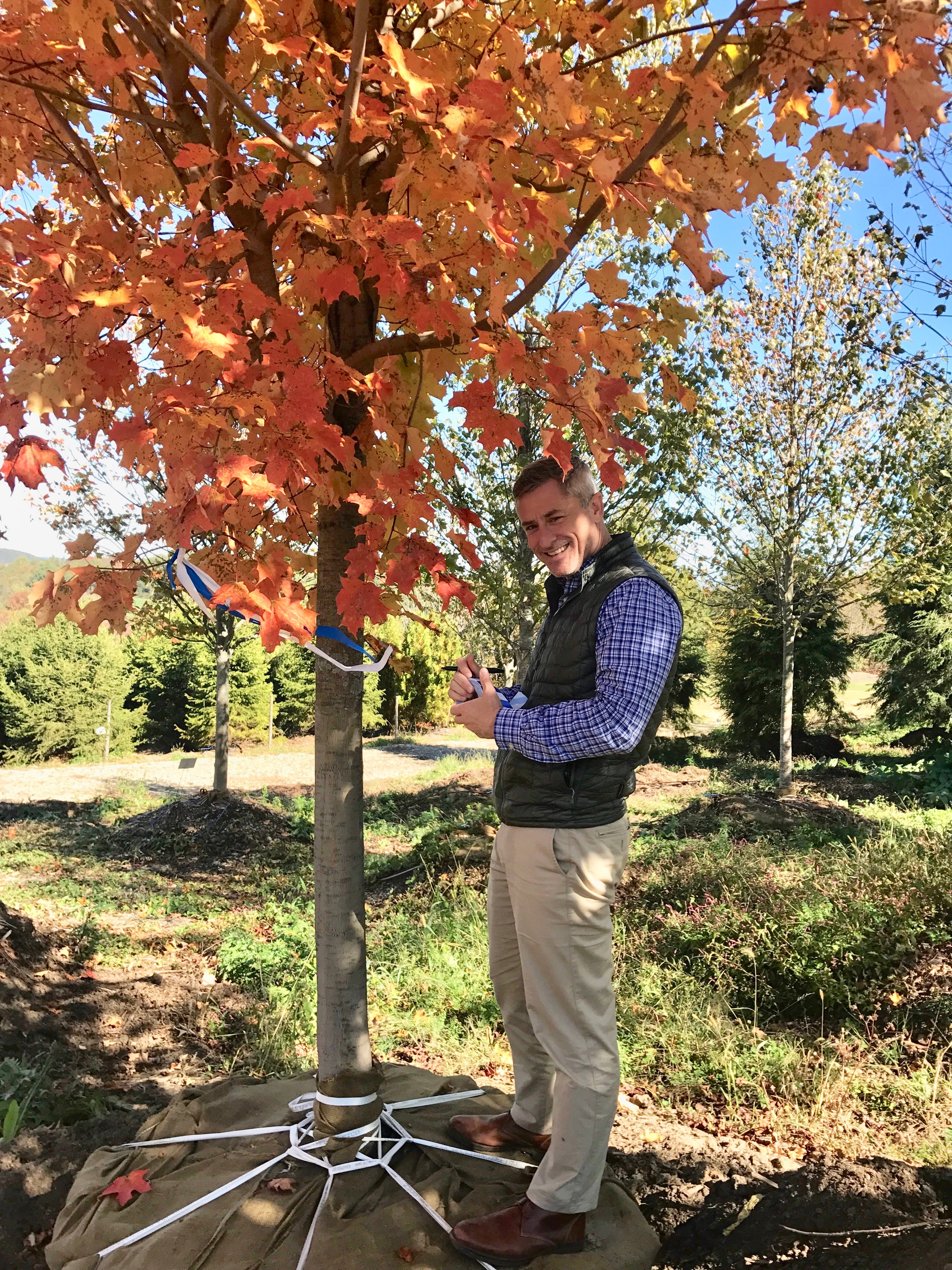 Hardscrabble Nursery: Christian Miller marks a Sugar Maple for the Village Green