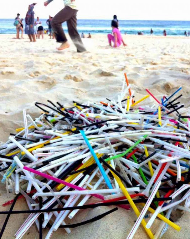 Bondi-Beach-straws-1024x764.jpg