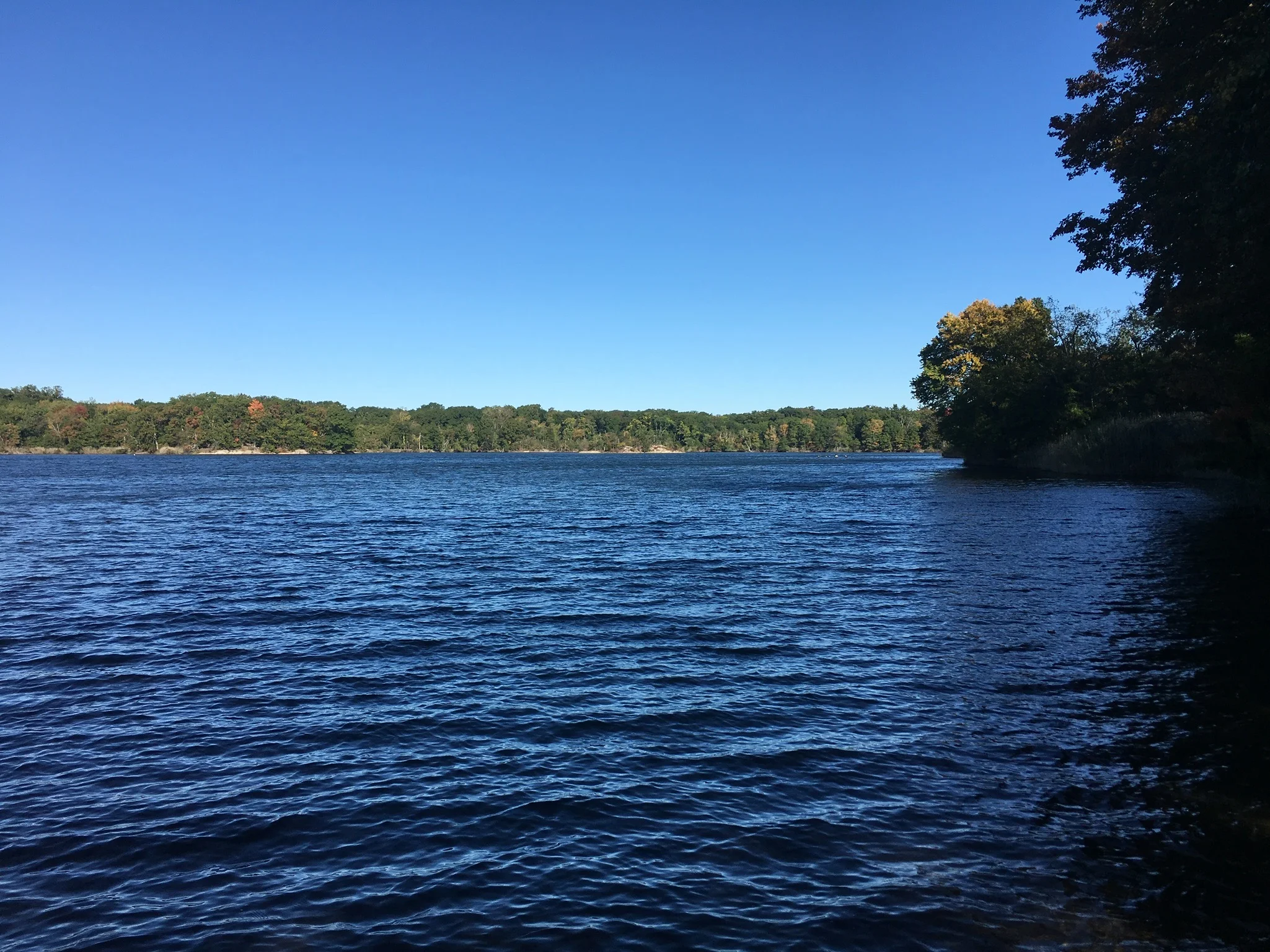 Eight Easy Ways to Celebrate Earth Day Every Day