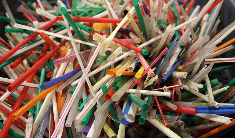 Rye Boy Scouts Project Aims to Reduce Plastic Straw Consumption