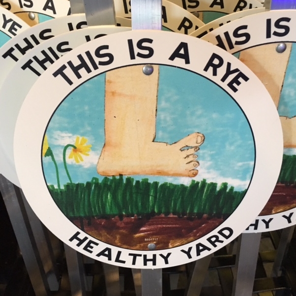 ManySigns.jpg