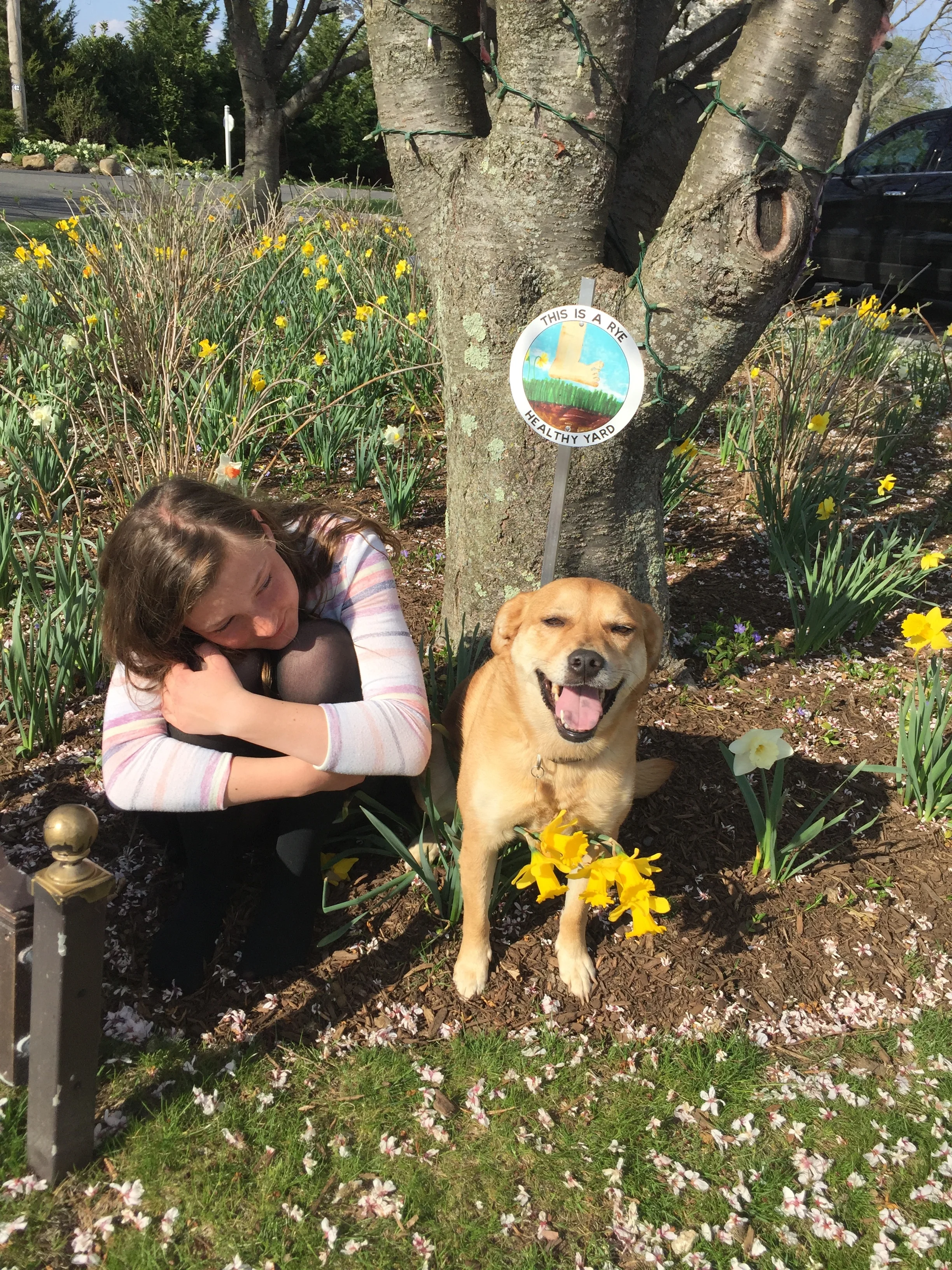 Healthy Yards, Healthy Pets Presentation