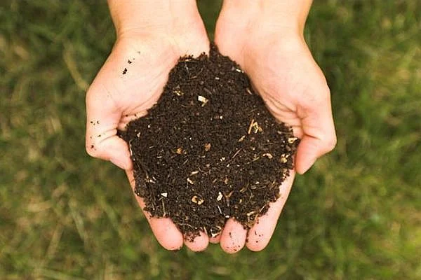 Community Composting Comes to Rye!