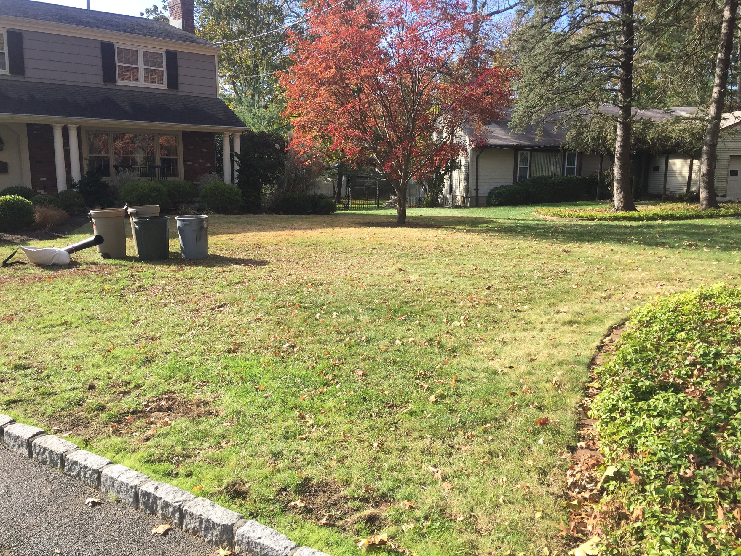 Mulched leaves on the lawn are virtually invisible