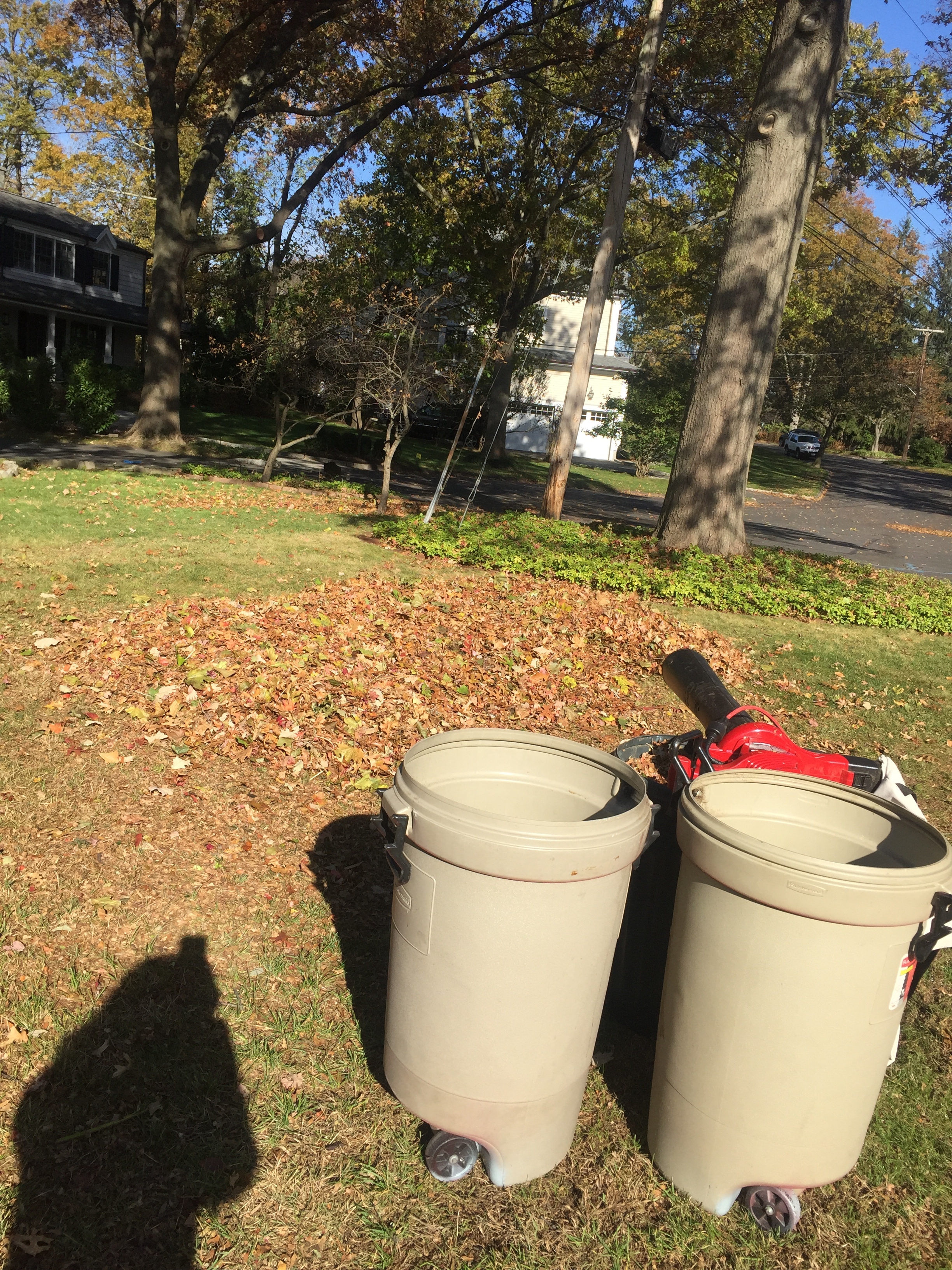 A leaf pile, ready to be mulched