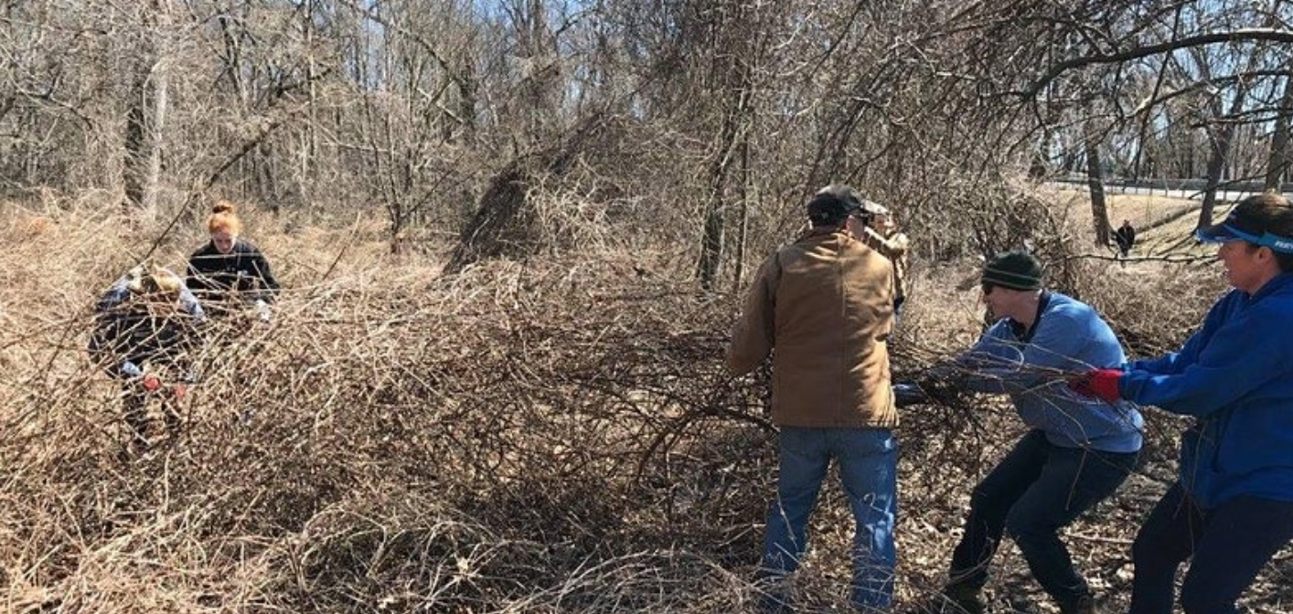 Invasive Vine Removal along Playland Parkway