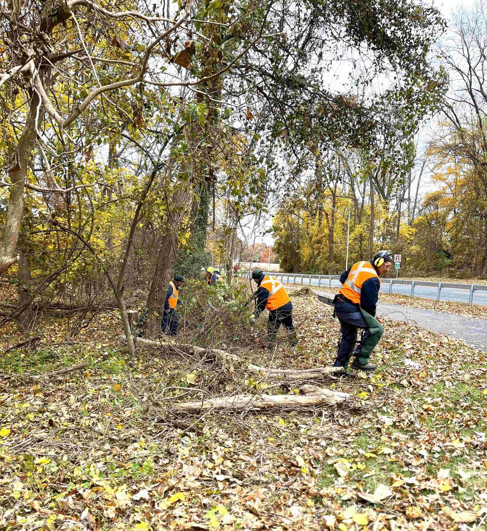 1. Javier, et al cutting and removing invasive vines - Copy.jpg