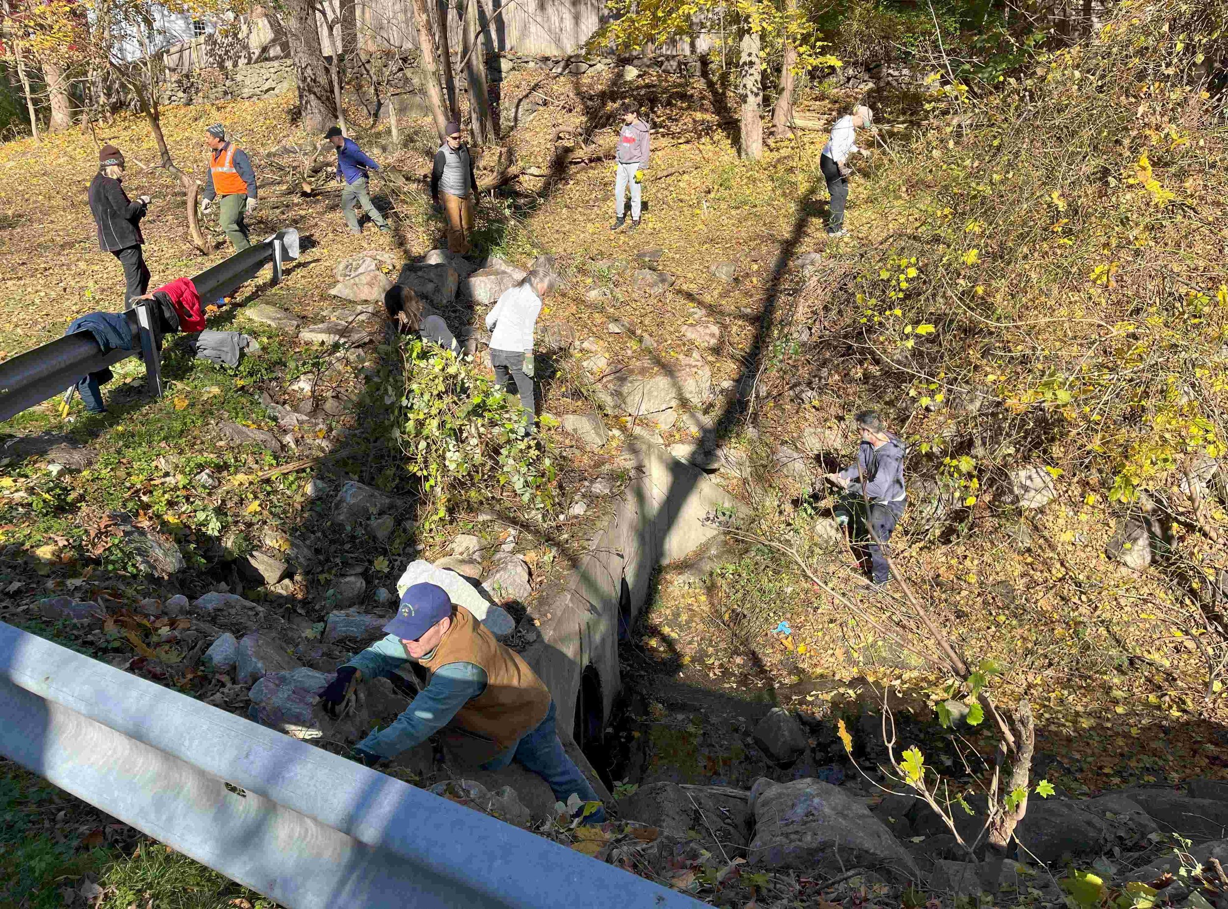 8. Removing loads of invasive plants while opening up active stream for future native pollinator plantings. - Copy.jpg