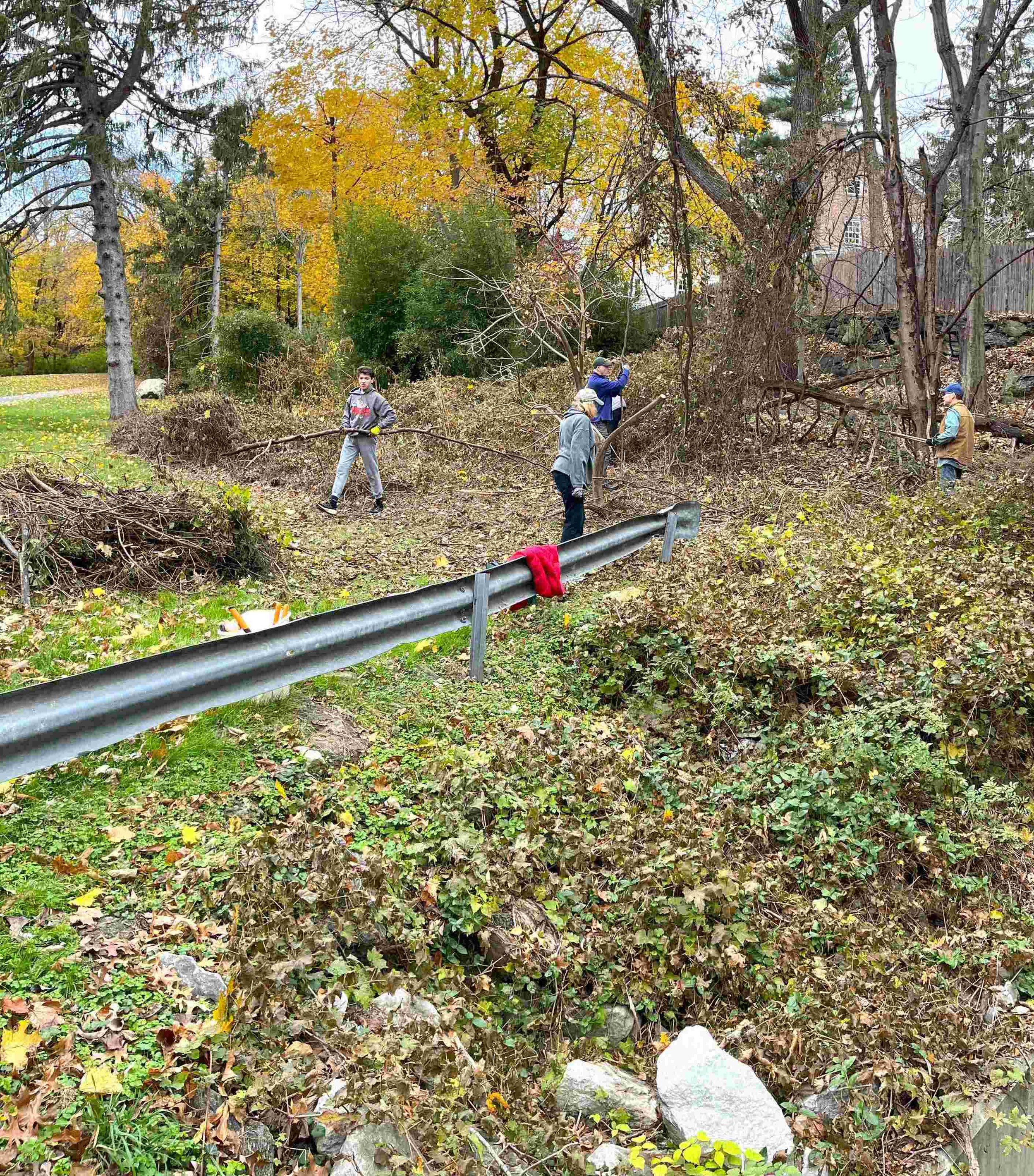 10. Some of the volunteers clearin a large swath of invasive brambles and porcelain berry vines. - Copy.jpg