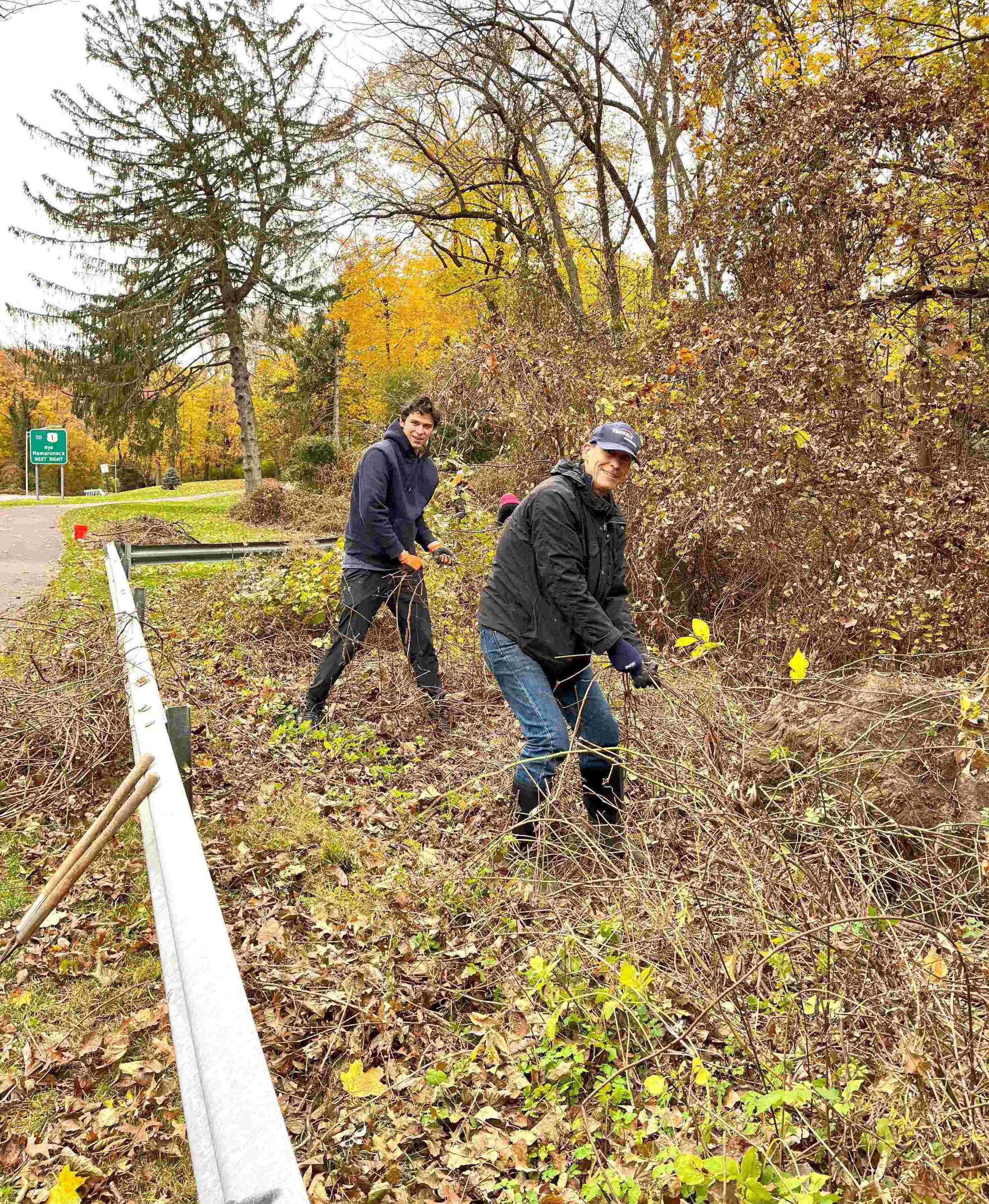 15. Dr. Frank Goldszer and Luke, his son, tag teaming invasive removals. - Copy.jpg