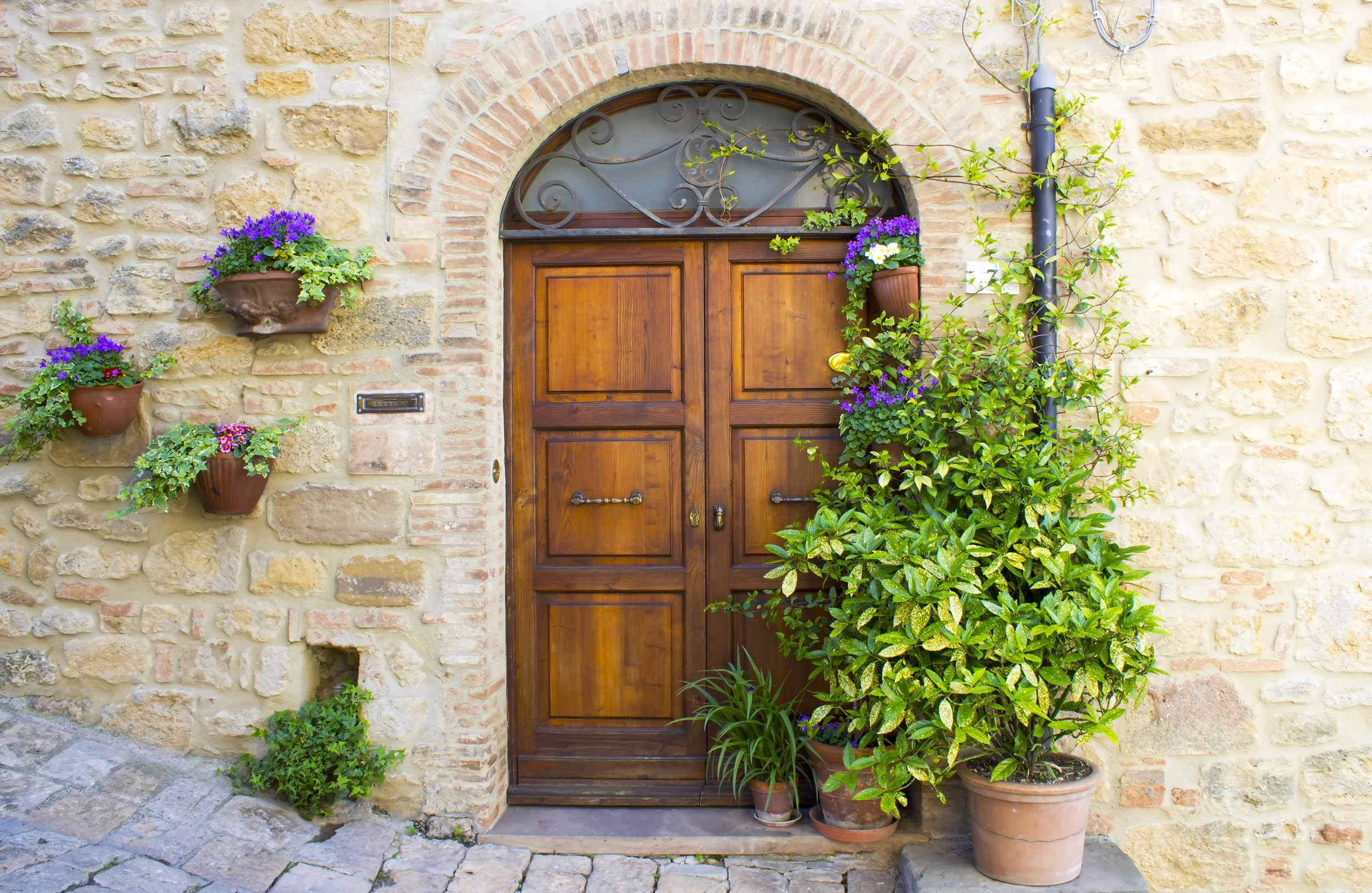 website home page image.jpg