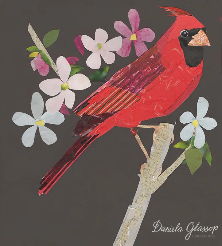 Northern Cardinal ©Daniela Glassop