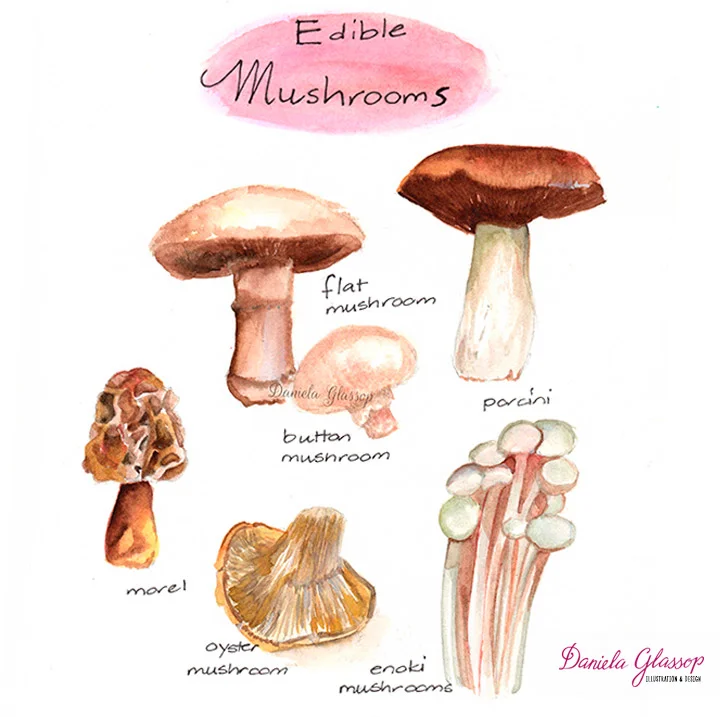 Edible Mushrooms ©Daniela Glassop