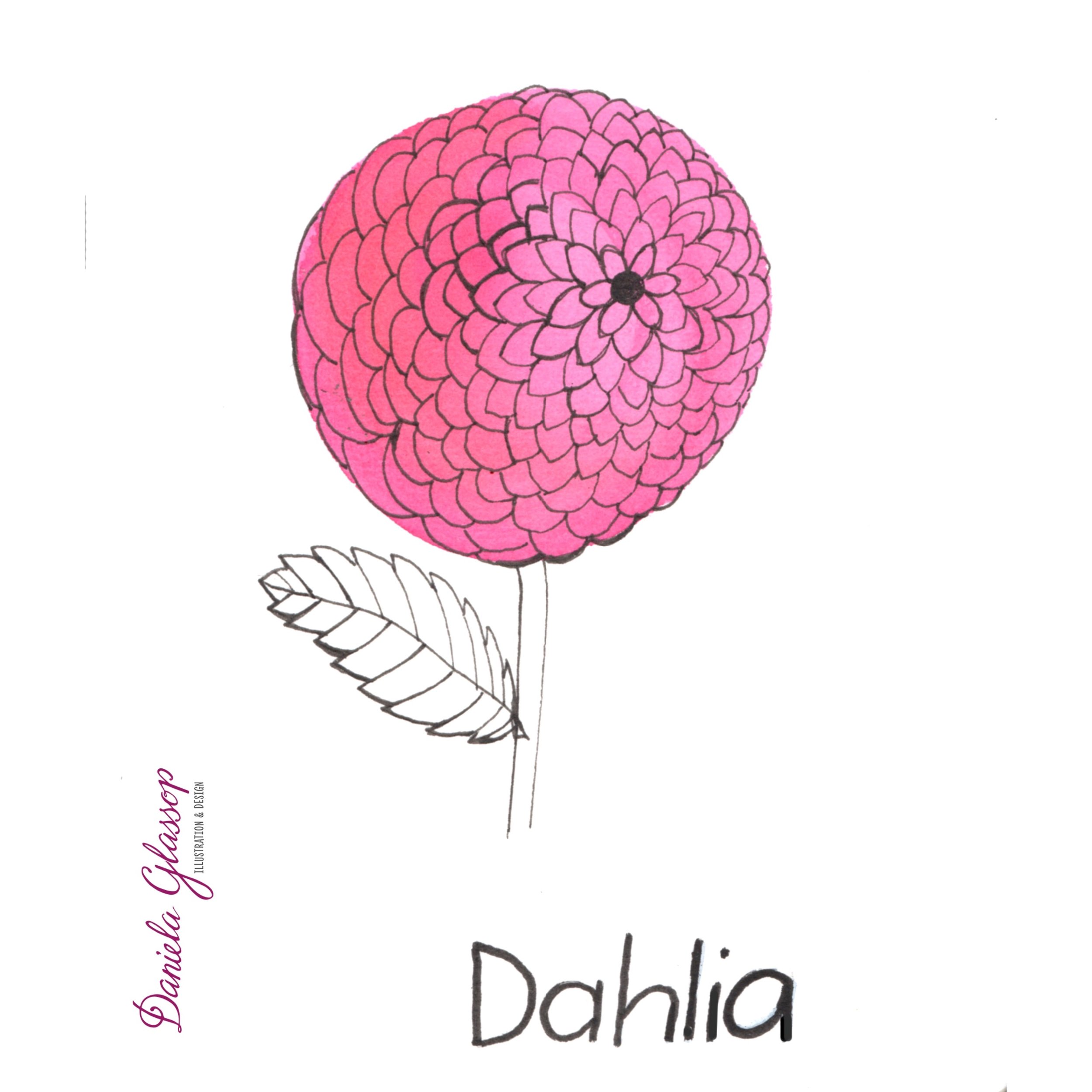 InktoberCB-Day16-Dahlia-DanielaGlassop.JPEG