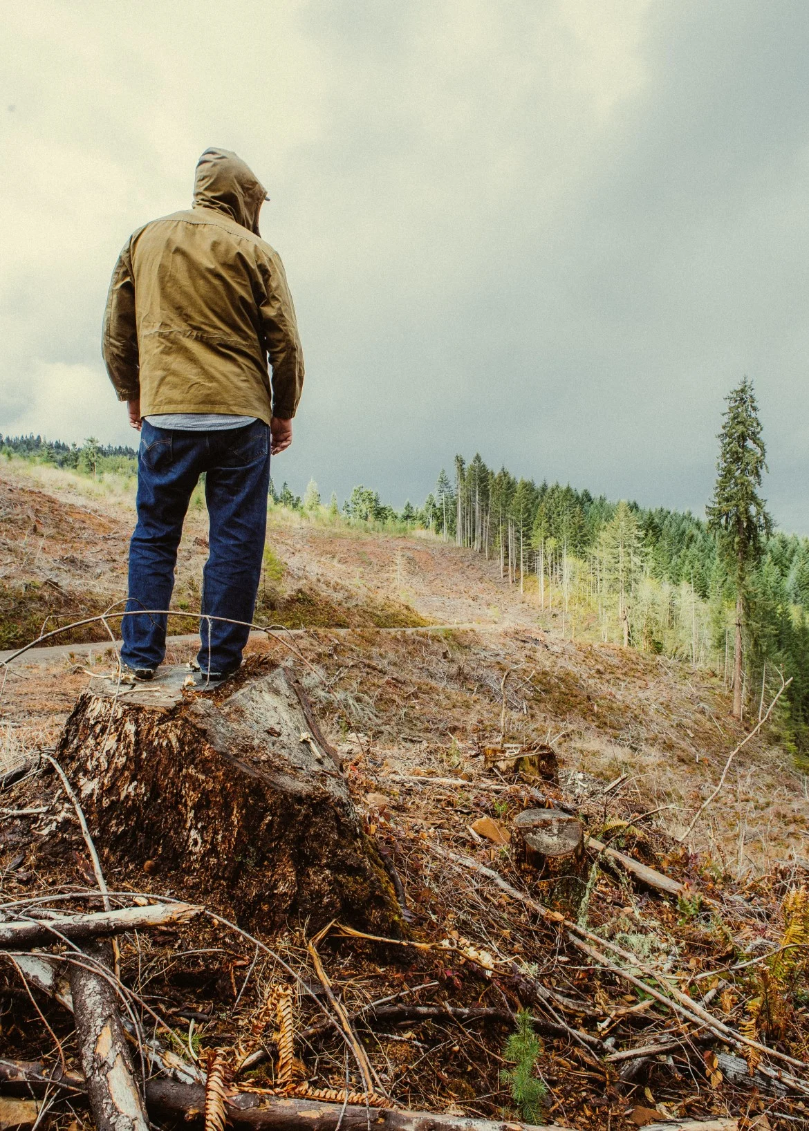loggers.jpg