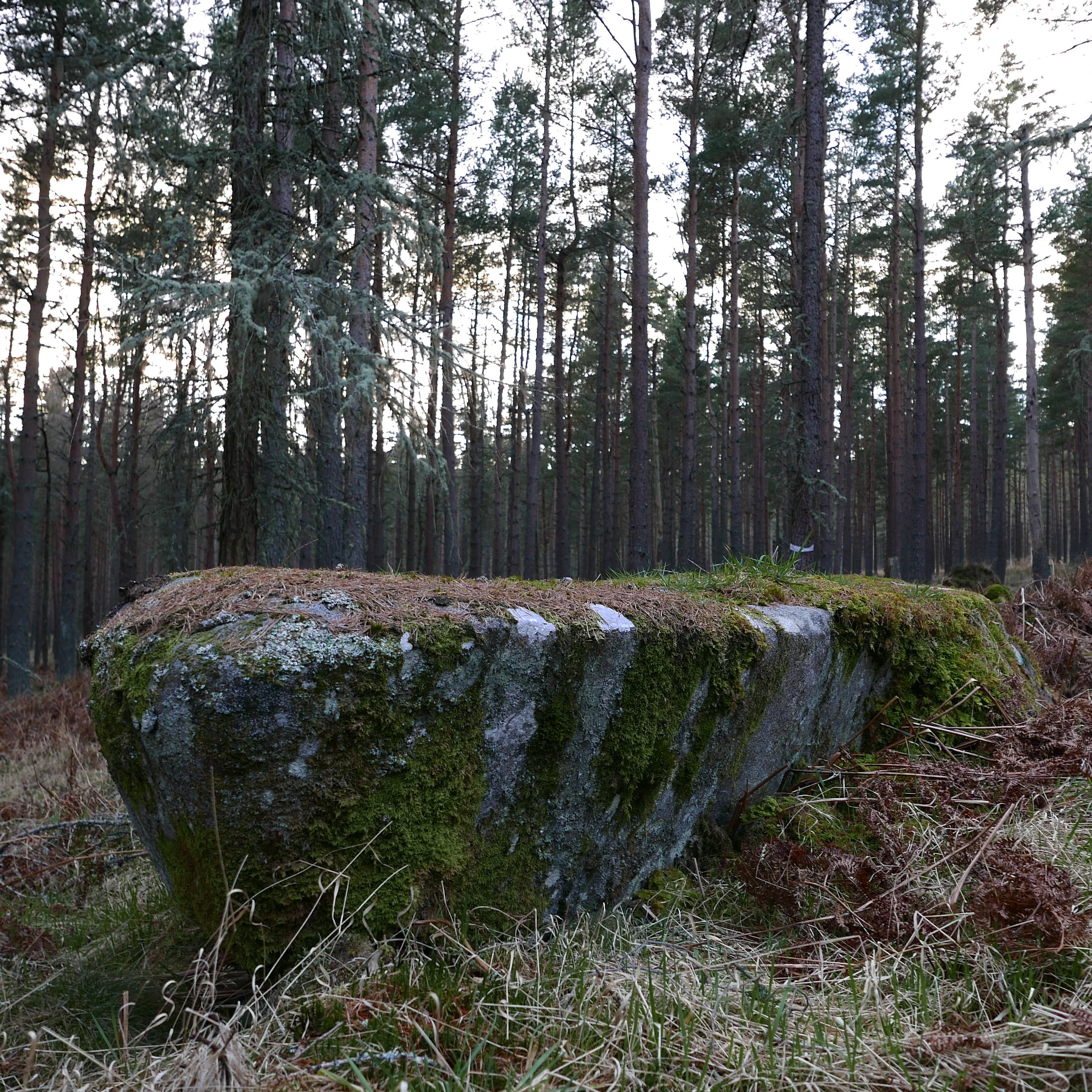 Blue Cairn of Ladieswell