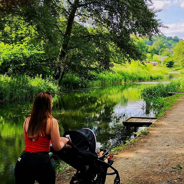 Stroudwater navigation II