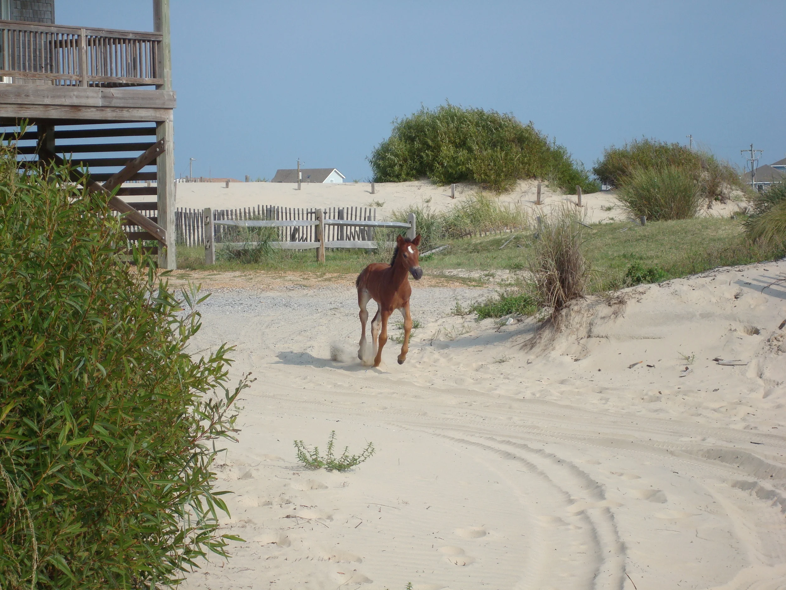 Boldly Going...Where you want to go