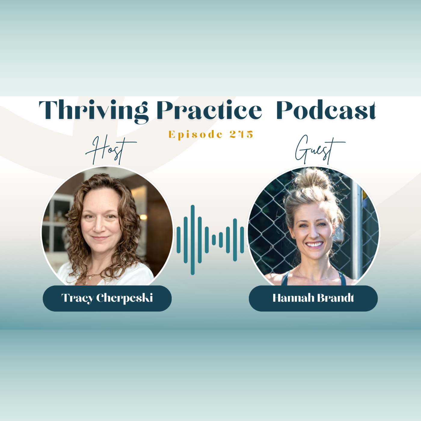 You've Done Nothing Wrong: A DPT's Practical Guide to Fitness and Nutrition for Busy Healthcare Providers Featuring Dr. Hannah Brandt, EP 245 