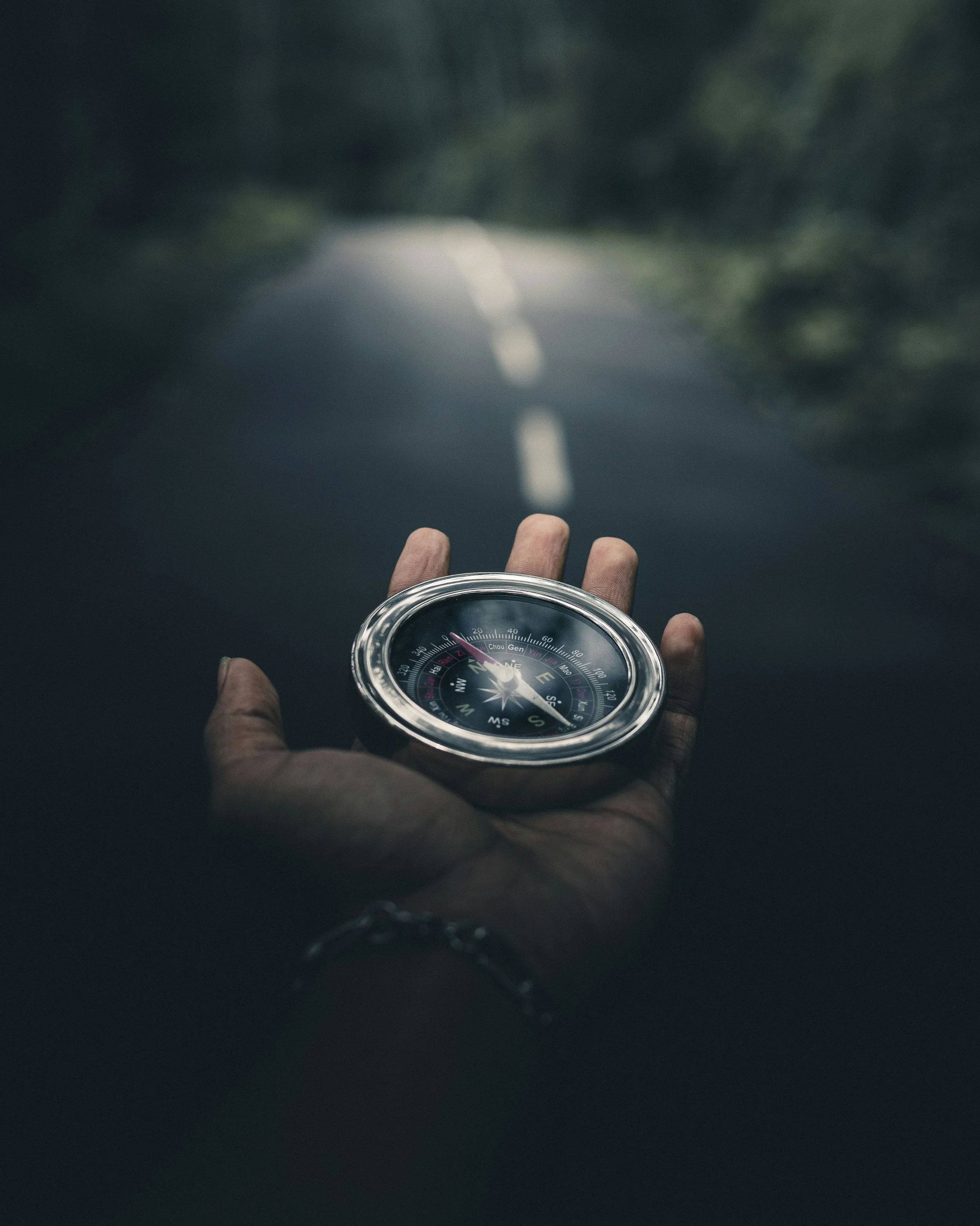 A hand holds an ornate compass with a silver rim and black face, displaying cardinal directions and degree markings. The background shows a blurred figure of a person against dark, moody lighting and green foliage.