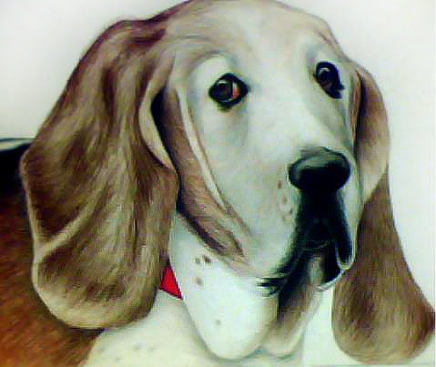 2012 colored pencil. for Jane & john adams