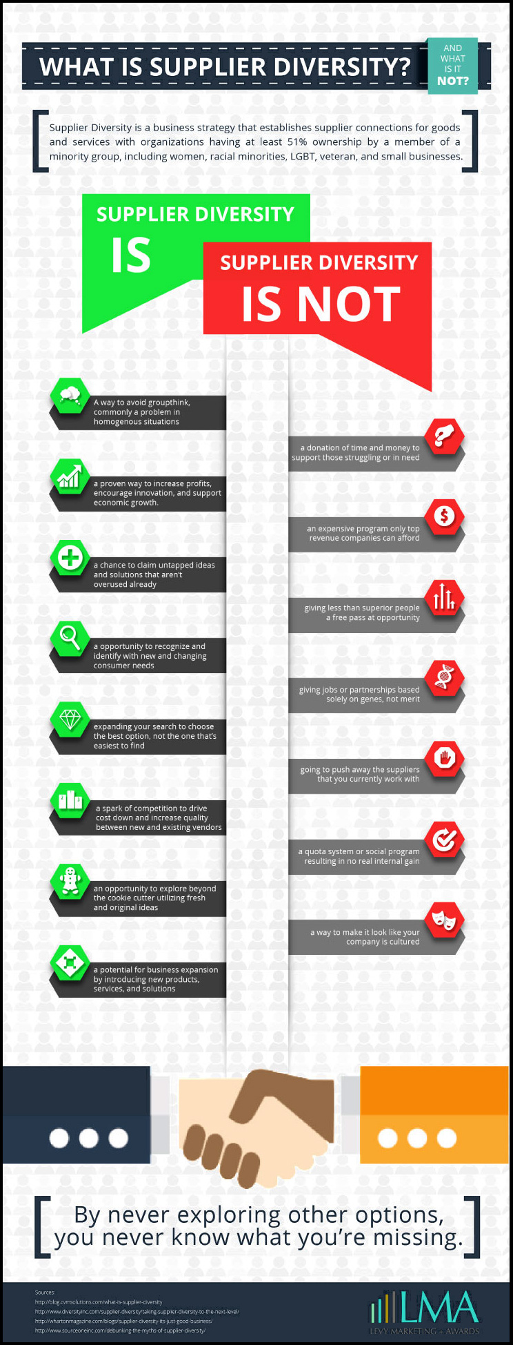 Supplier Diversity Infographic