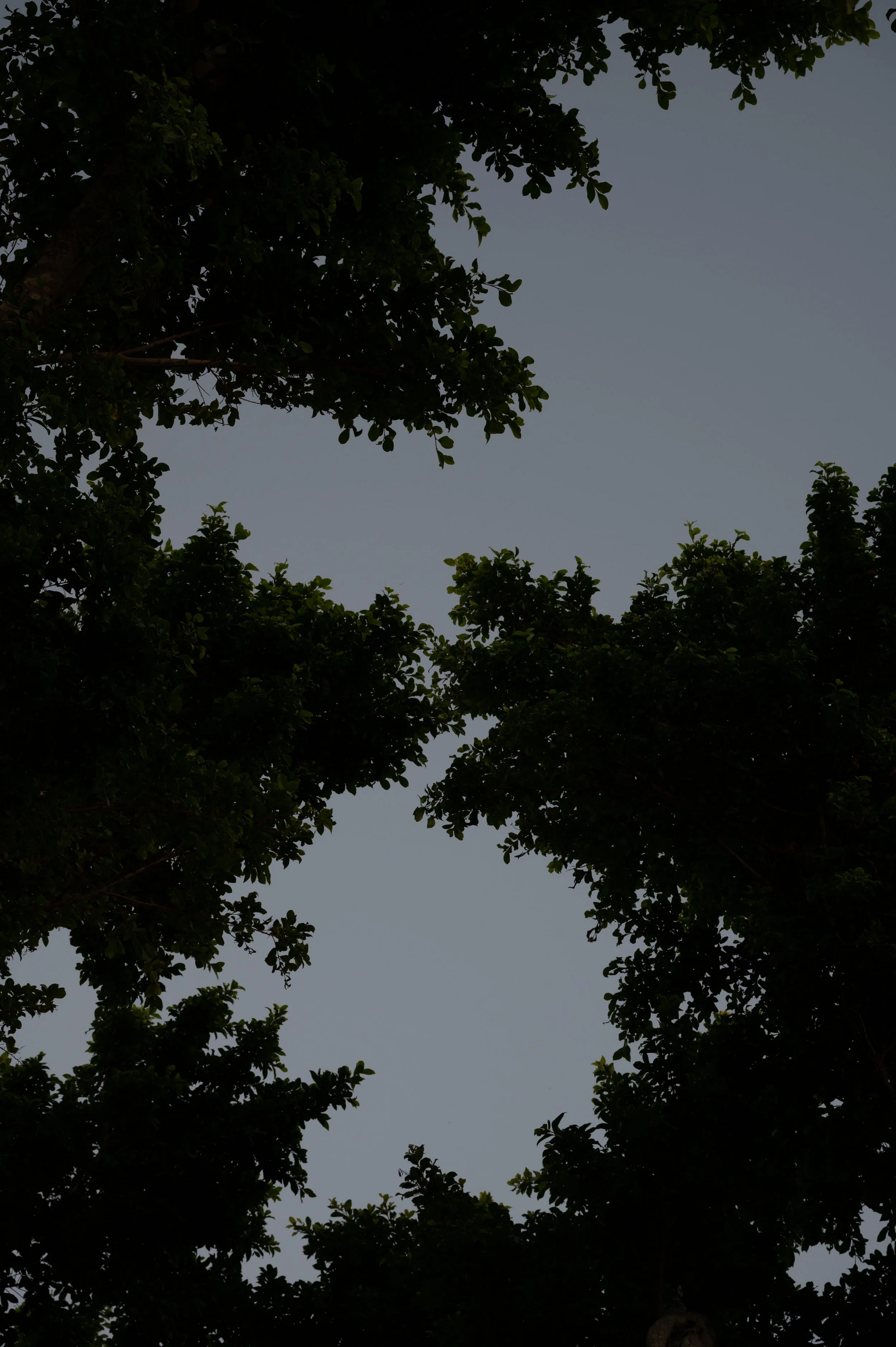 Moonrise Study 1