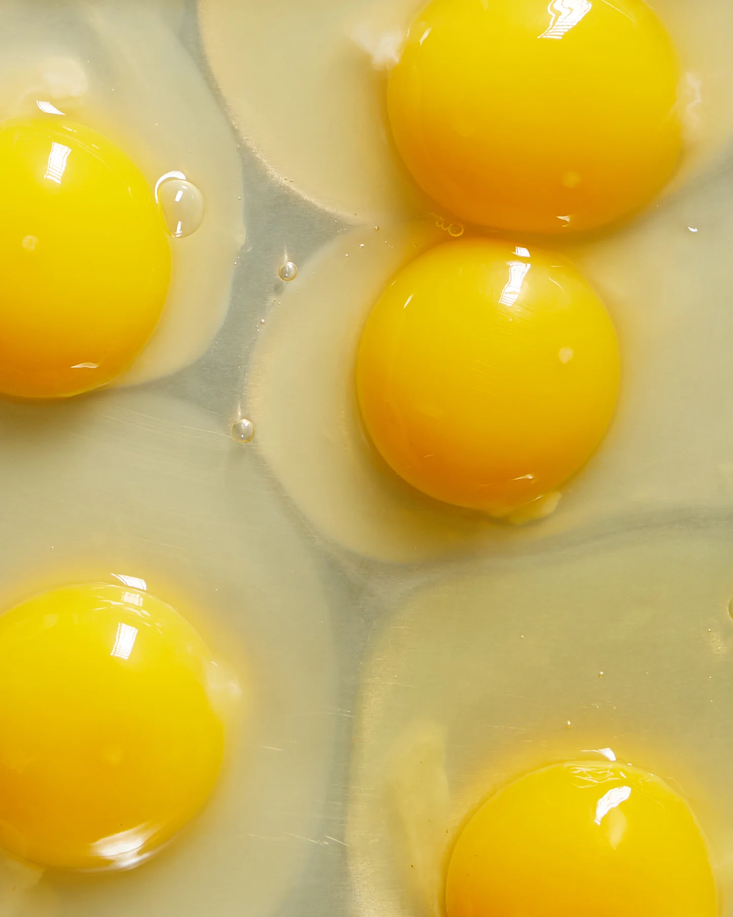 LARGE EGGS