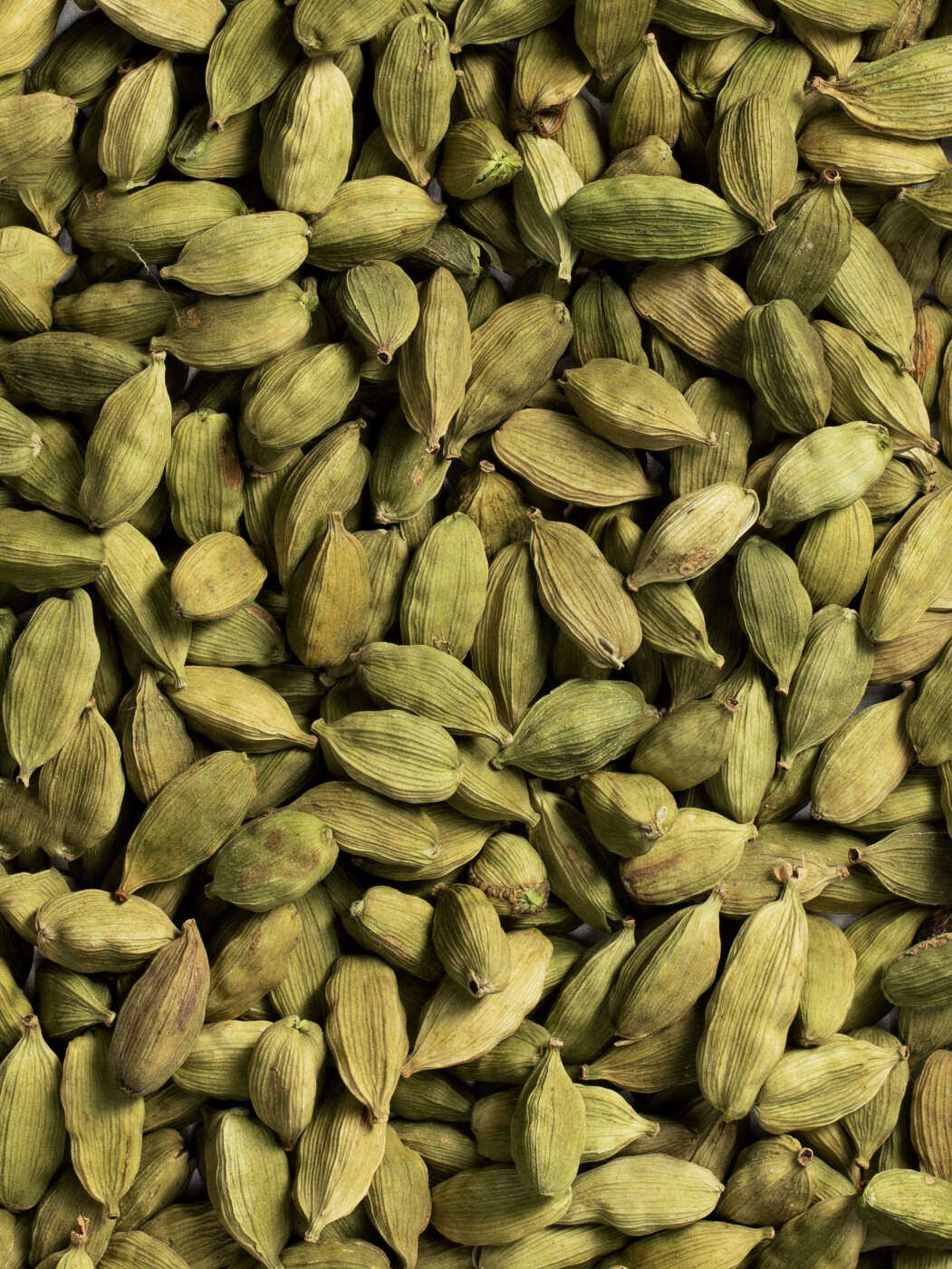 Cardamom