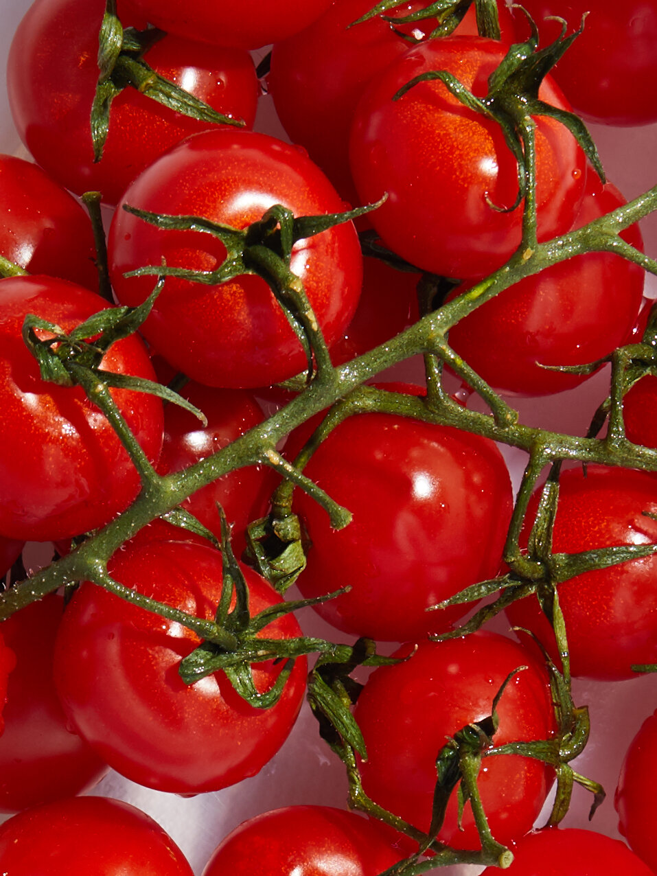 Cherry Tomatoes