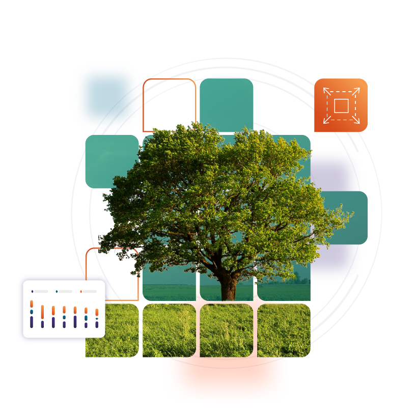 Expand and Retain Customers - Collage Grid.png