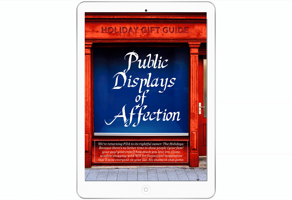 giftguideipad.gif